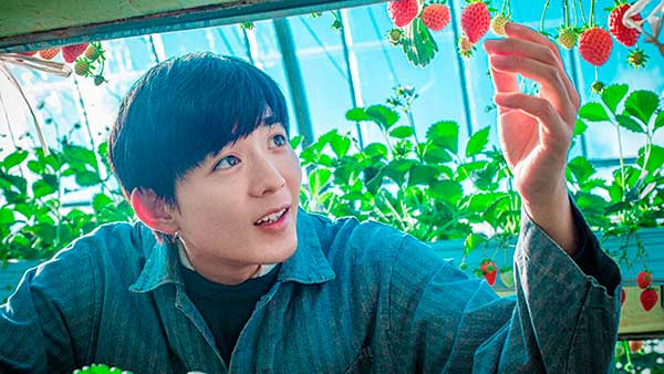 Yamato-Restart after come back home.