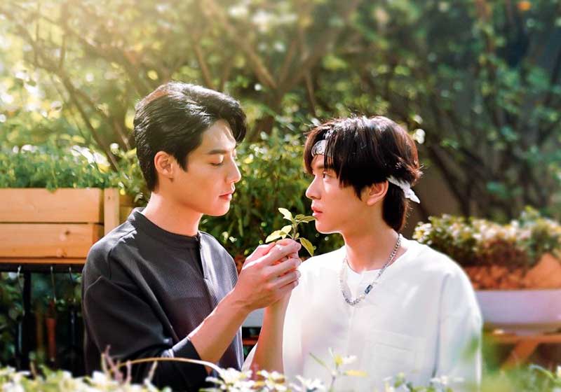 'This love doesn't have long beans' bl tailandés