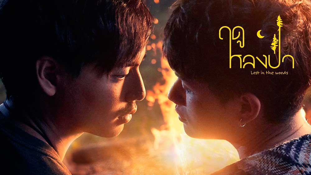 Lost in the woods bl