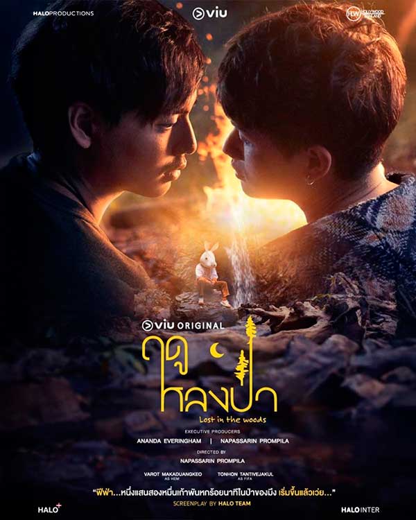 Póster oficial de Lost in the woods bl